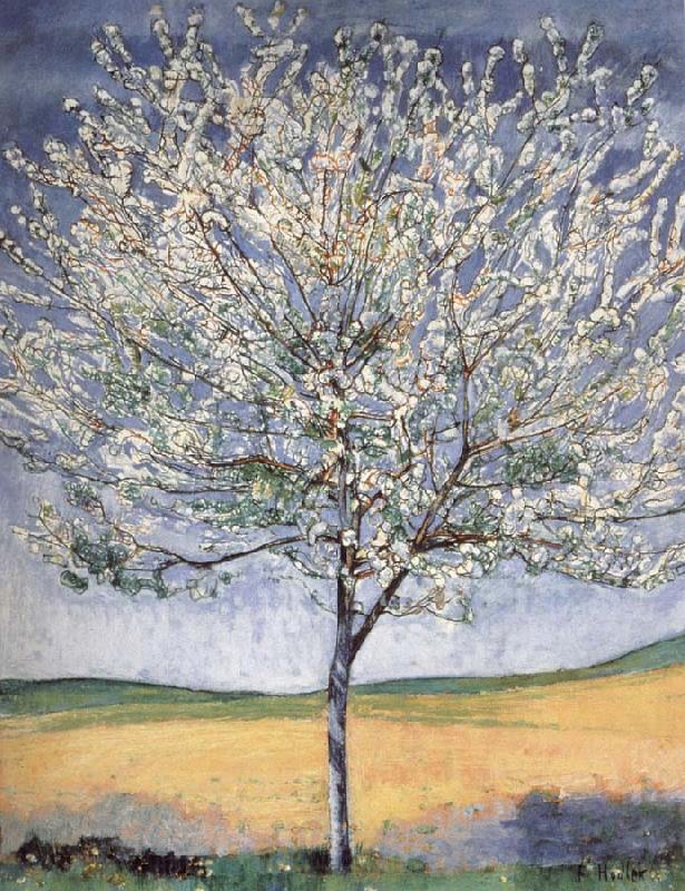 Ferdinand Hodler Cherry tree in bloom Norge oil painting art